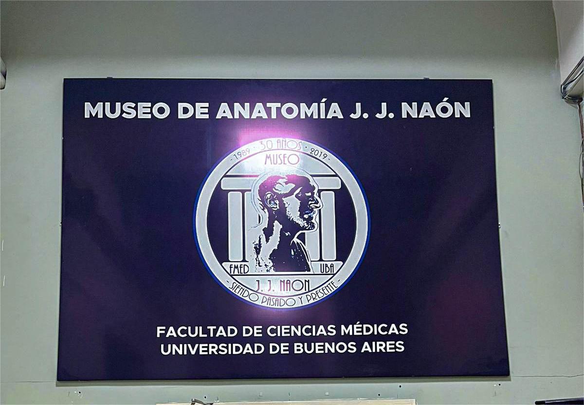 Visita académica de estudiante de Medicina UPE a la prestigiosa UBA: Programa de Movilidad Estudiantil
