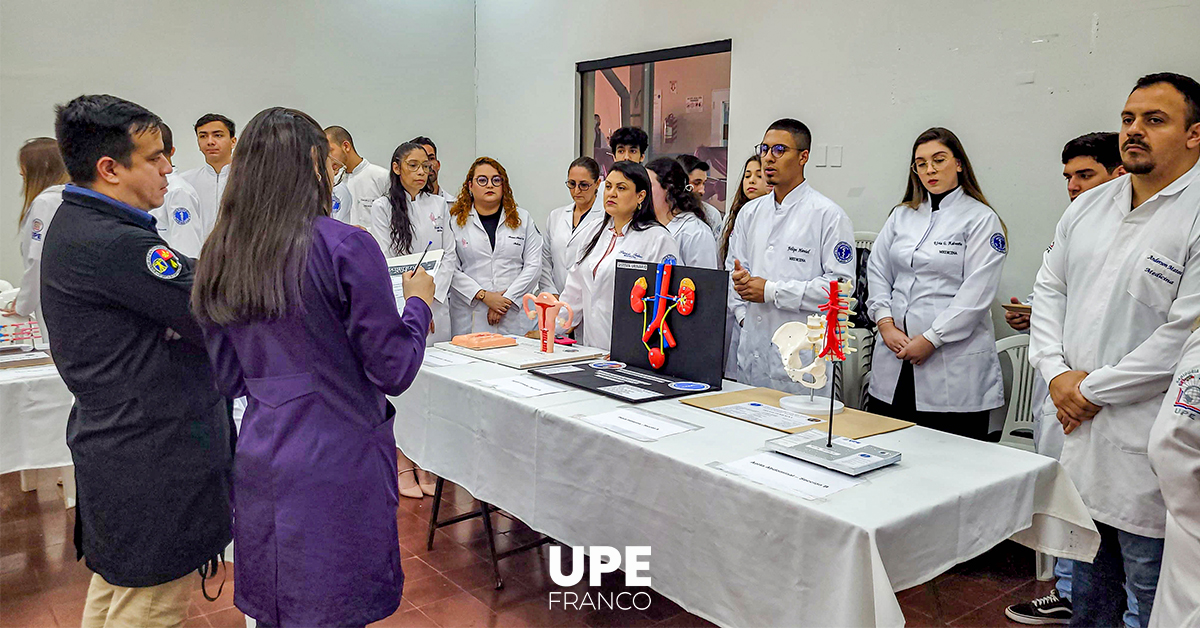 Expo Anatomía 2024: Presentación de Maquetas y Banners