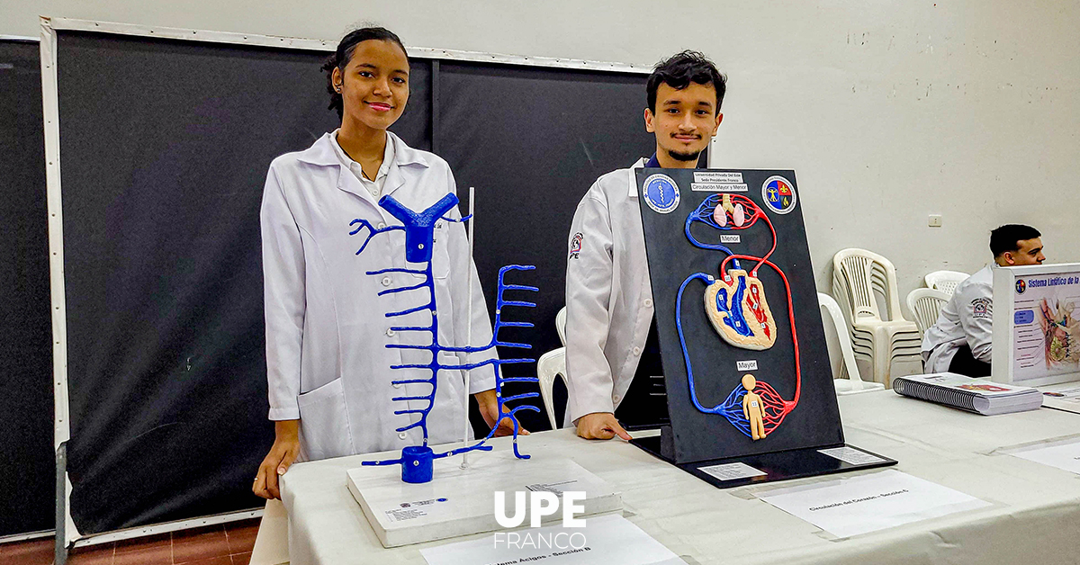 Expo Anatomía 2024: Presentación de Maquetas y Banners