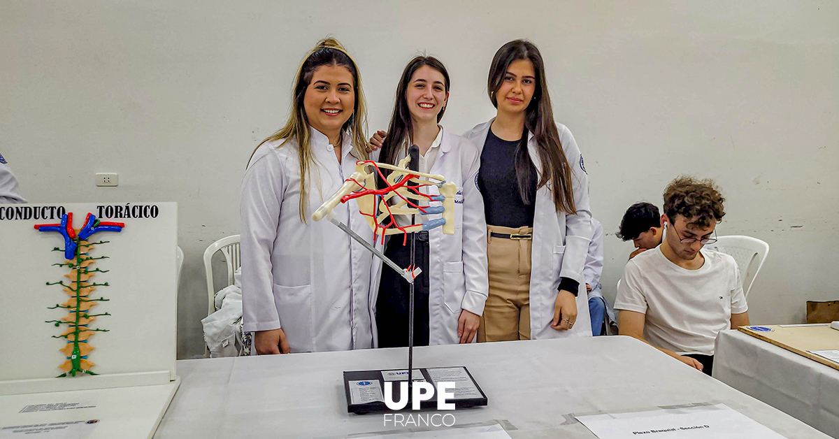 Expo Anatomía 2024: Presentación de Maquetas y Banners