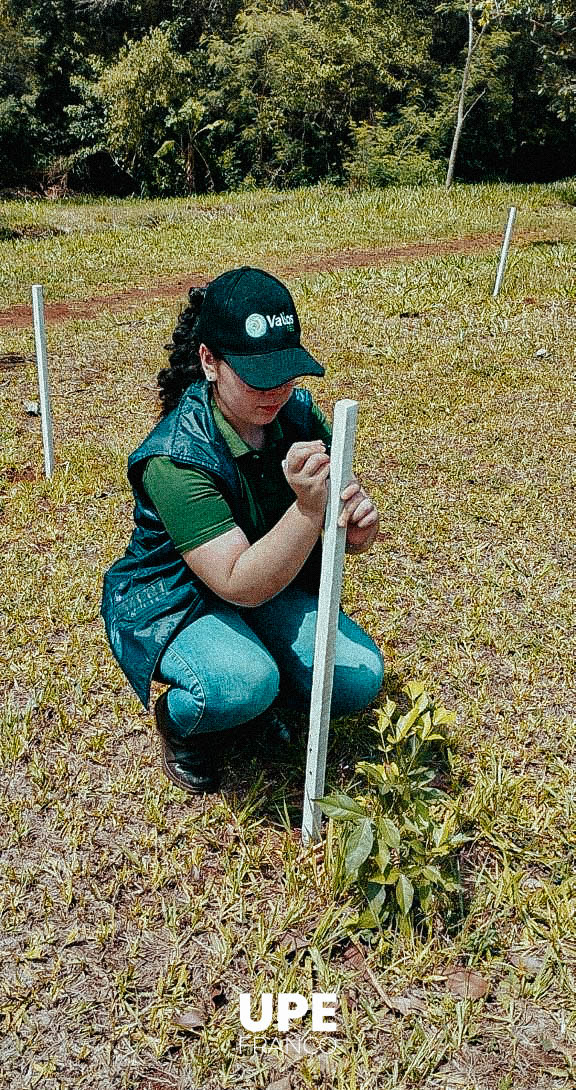 Proyecto Verde conectado: Adopta un árbol, adopta Vida