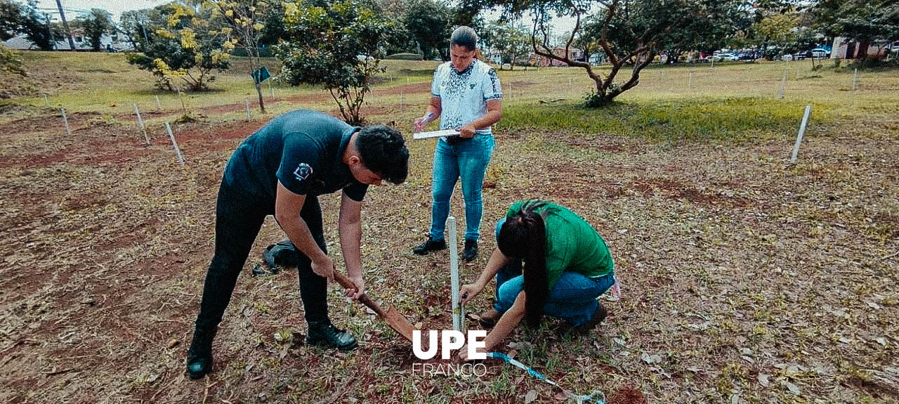 Proyecto Verde conectado: Adopta un árbol, adopta Vida