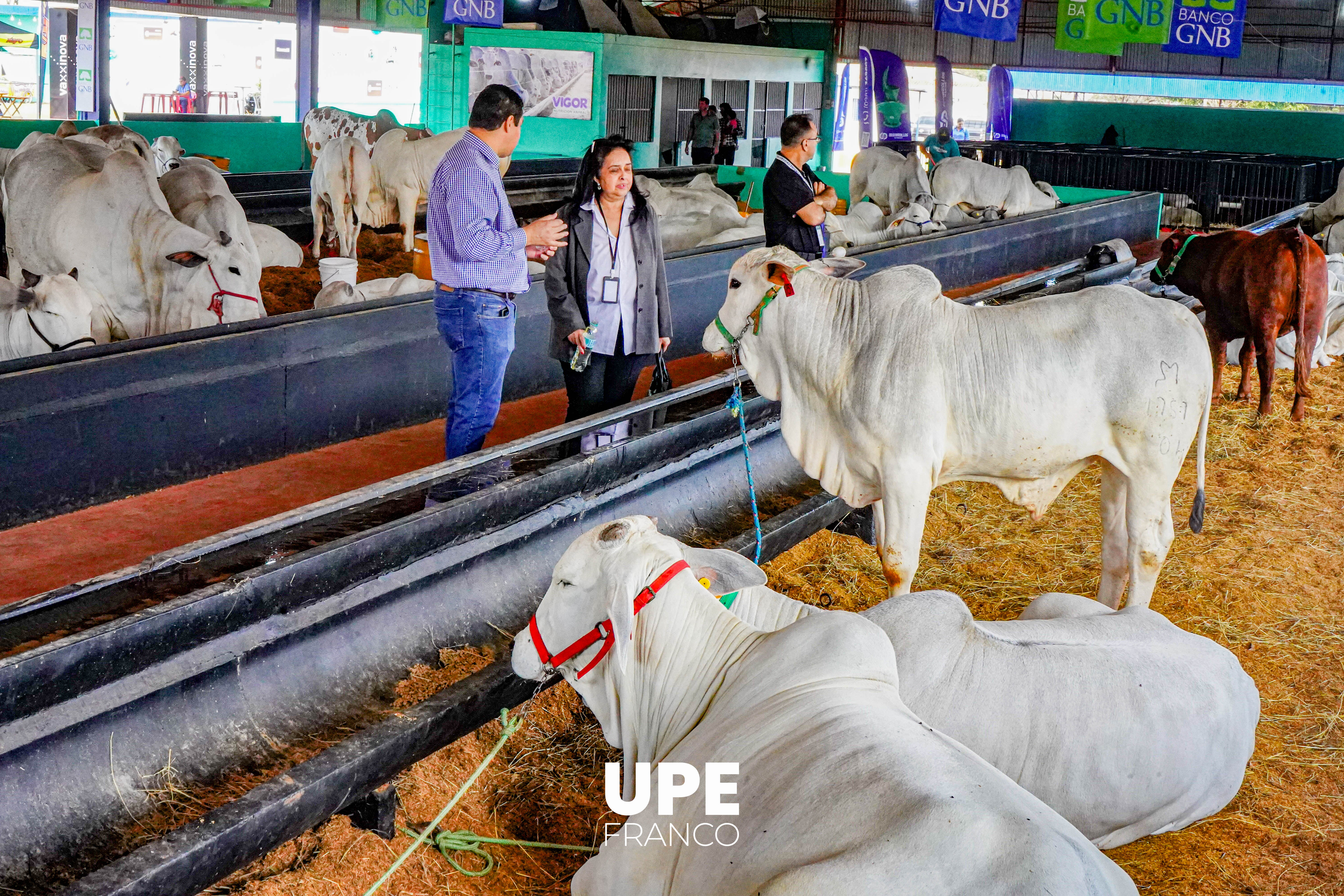 Facultad de Ciencias Agropecuarias en la Expo Santa Rita: Fortaleciendo vínculos con el sector productivo