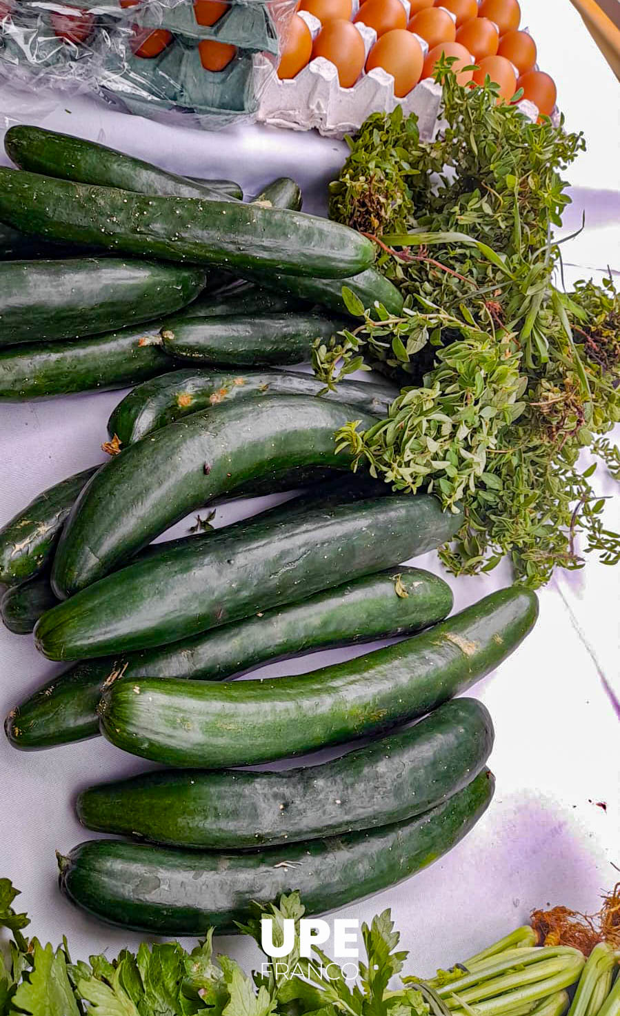 Feria hortigranjera en UPE FRANCO: Formación práctica y vínculo comunitario