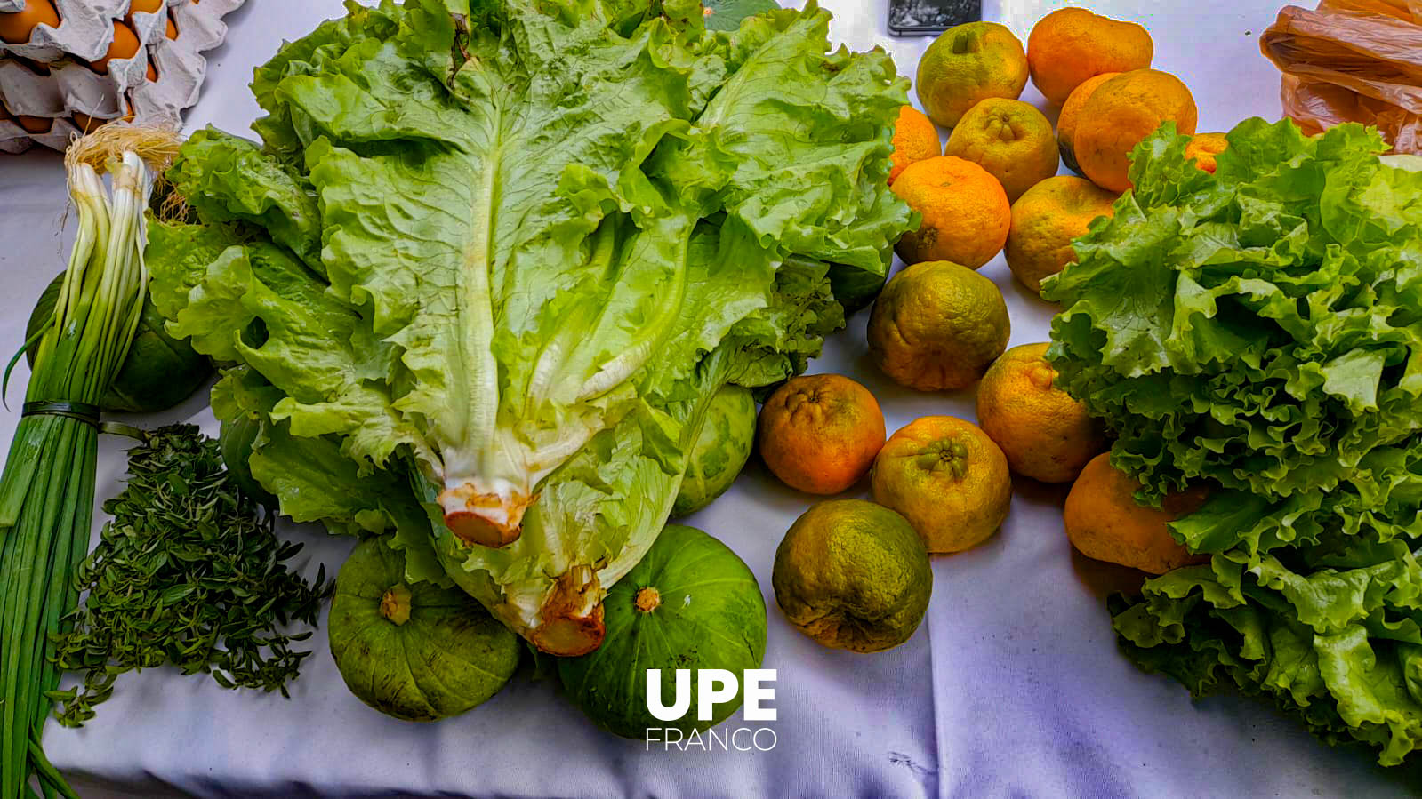 Feria hortigranjera en UPE FRANCO: Formación práctica y vínculo comunitario