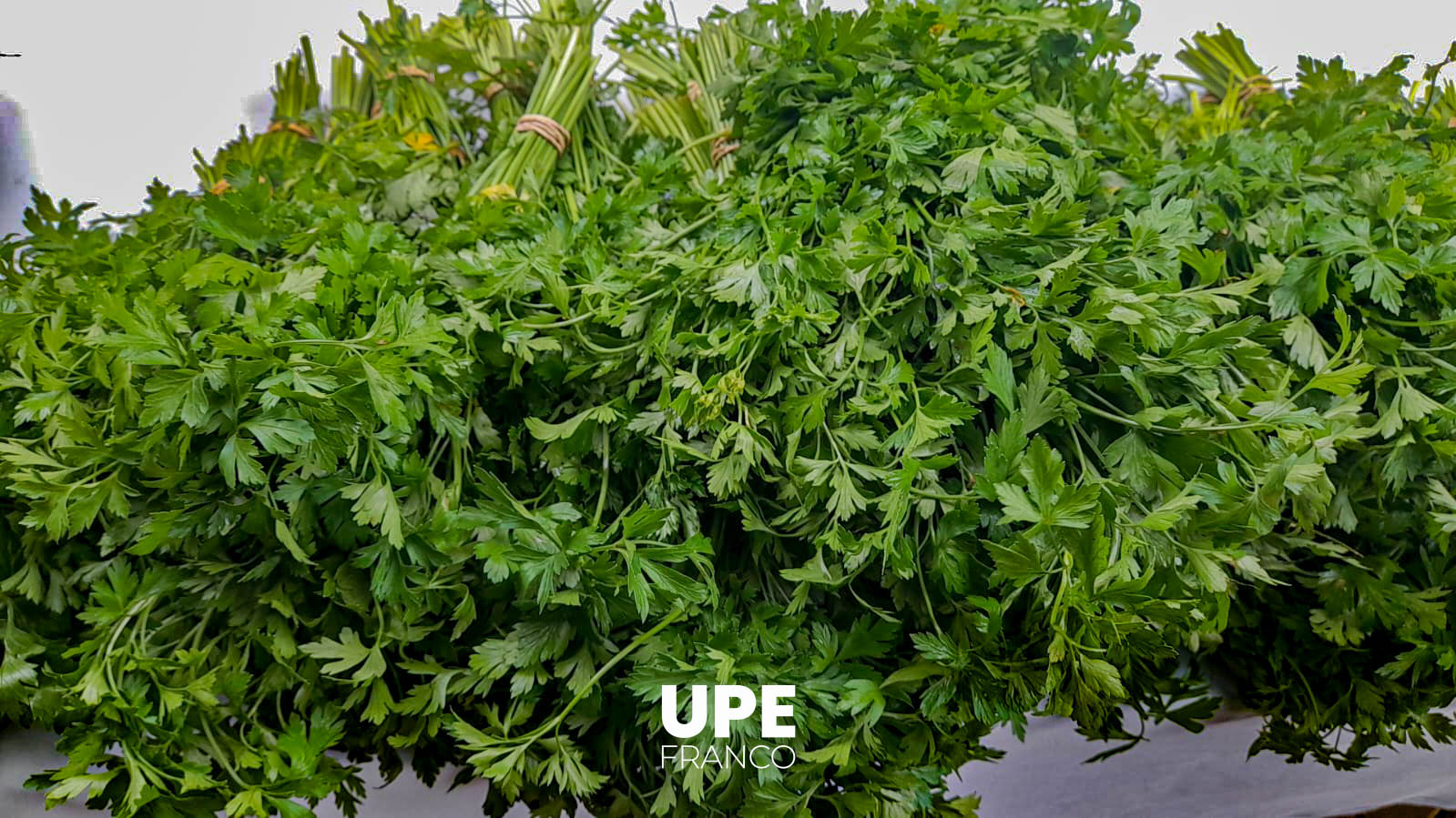 Feria hortigranjera en UPE FRANCO: Formación práctica y vínculo comunitario