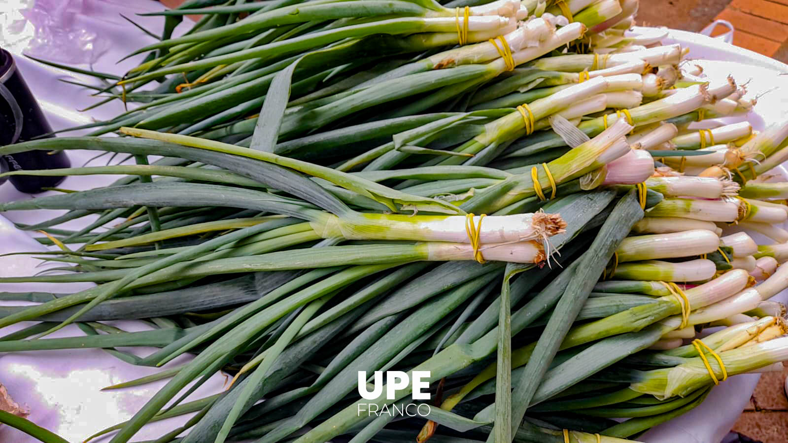 Feria hortigranjera en UPE FRANCO: Formación práctica y vínculo comunitario