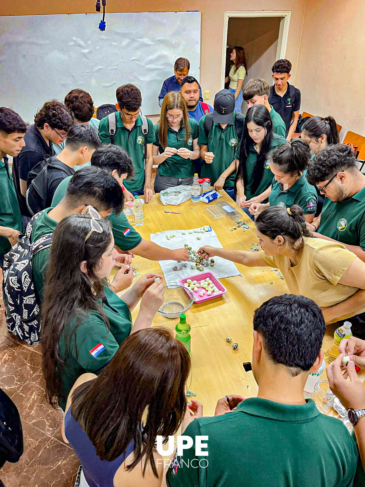 Producción de Huevos de Codorniz: Experiencia formativa en Ingeniería Agronómica