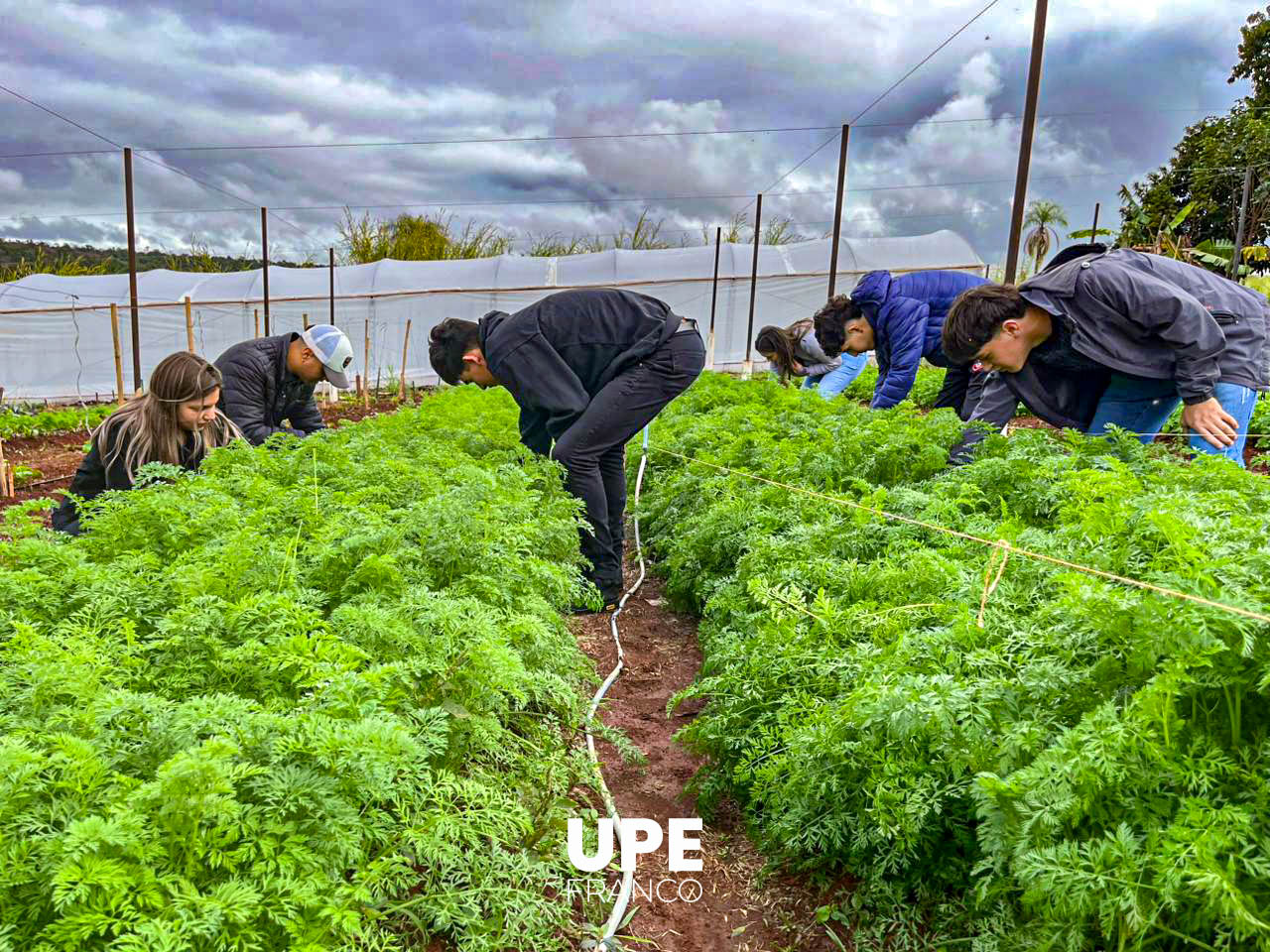 Centro Experimental e Investigaciones: Estudiantes de Agronomía se preparan para la Presentación Semestral