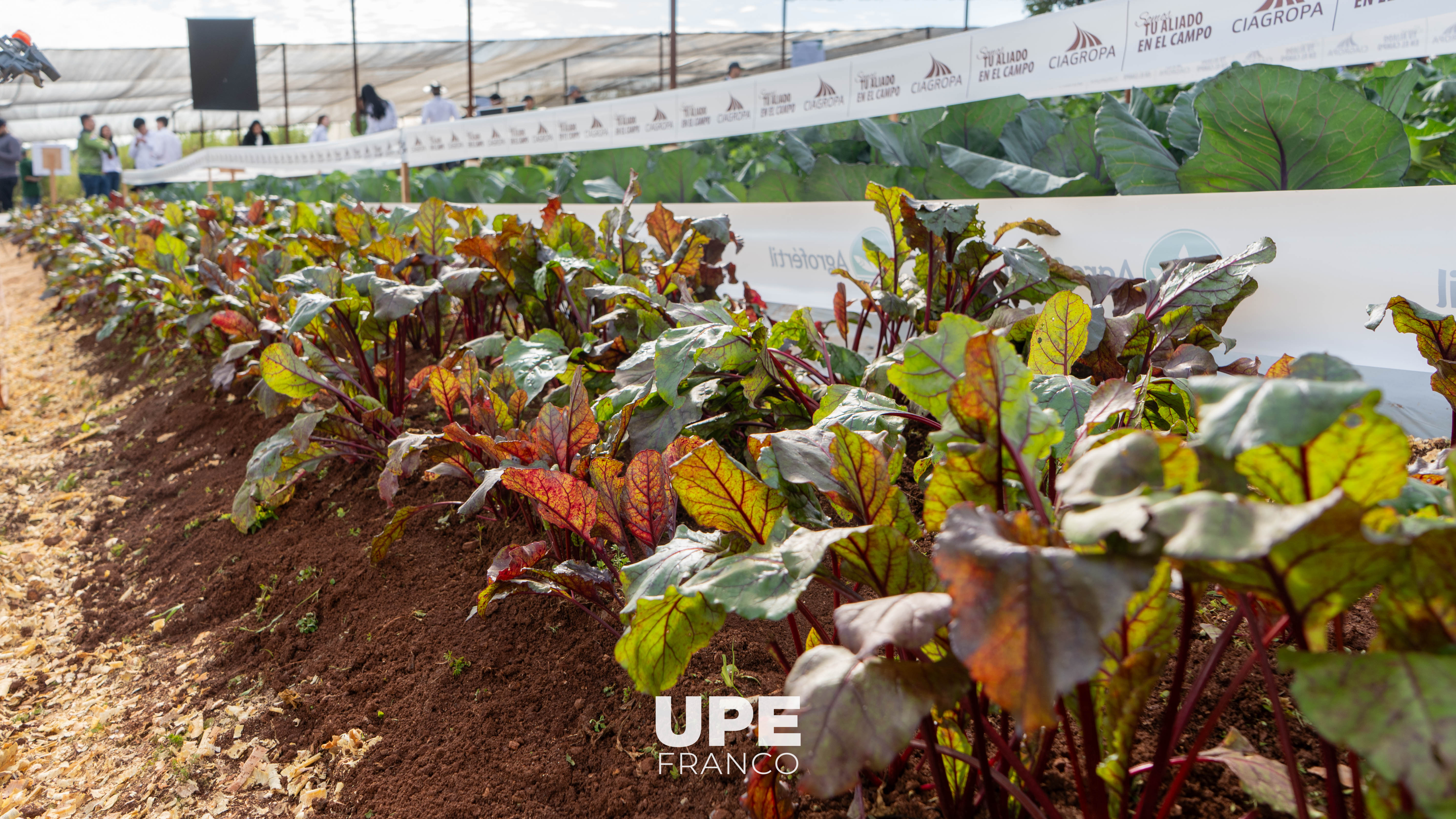 Facultad de Ciencias Agropecuarias realizó cierre de actividades de campo del primer semestre