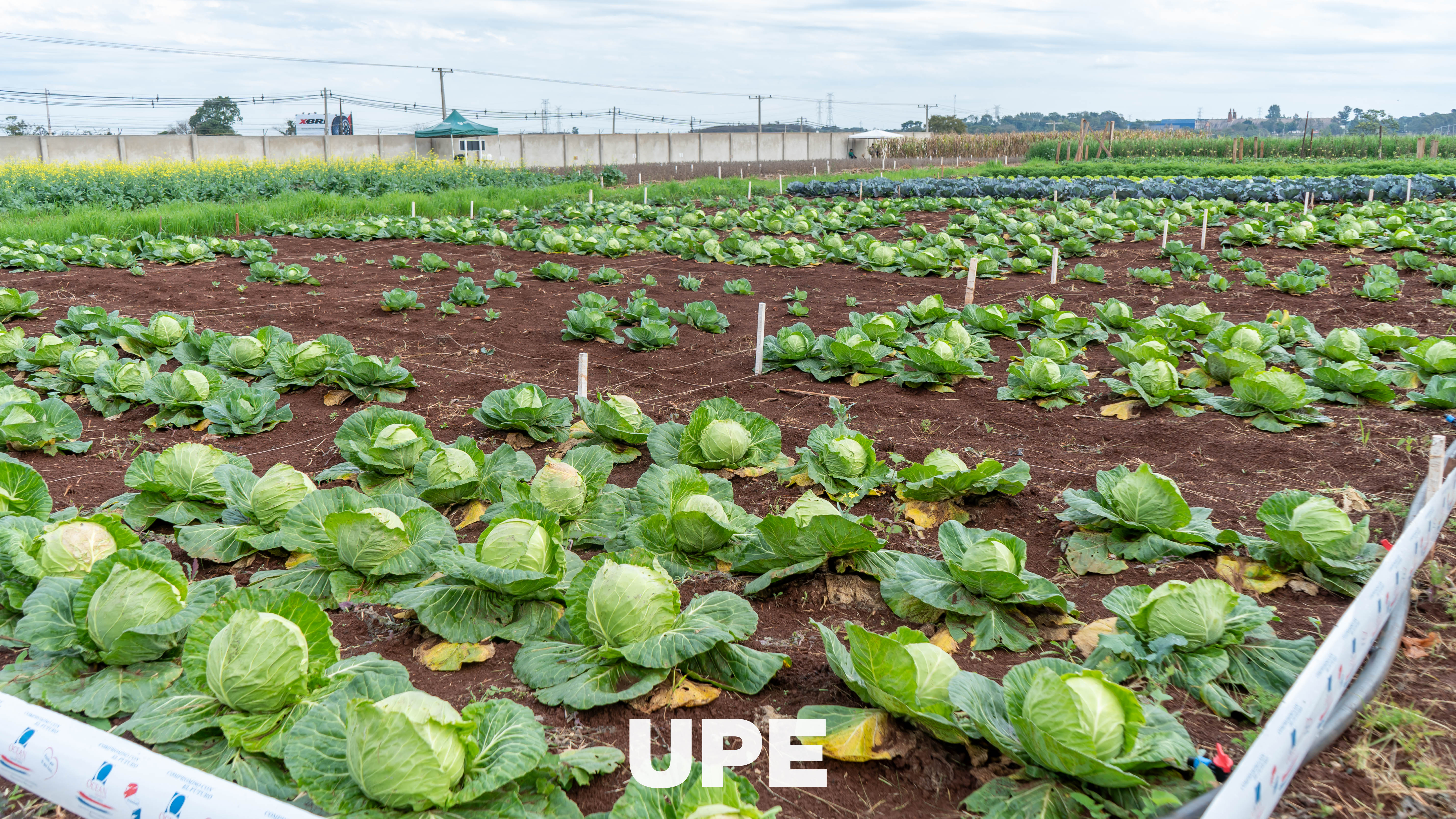 Día de Campo 2026 – Ingeniería Agronómica | UPE Minga Guazú
