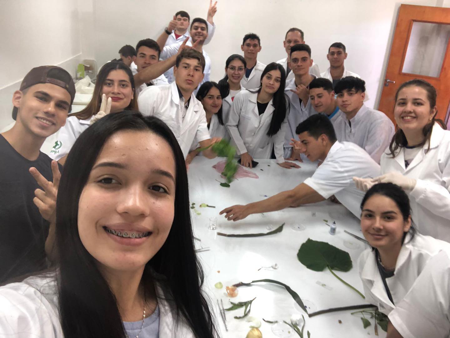 Práctica de laboratorio con alumnos de la Cátedra de Botánica General 